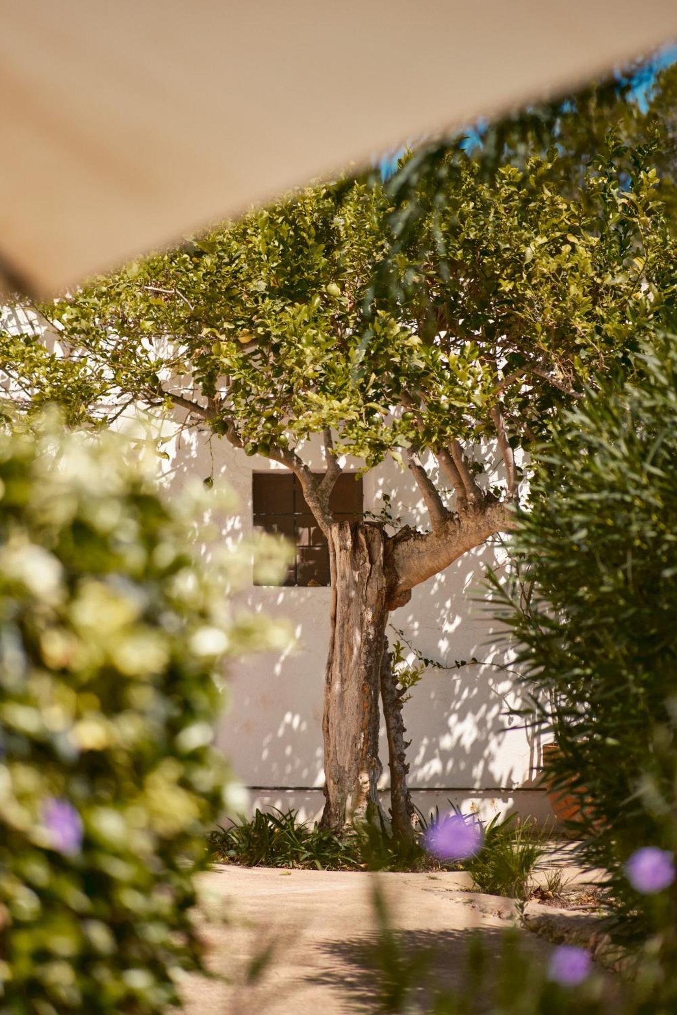 The Guardian House Hotel Santa Gertrudis  Екстериор снимка