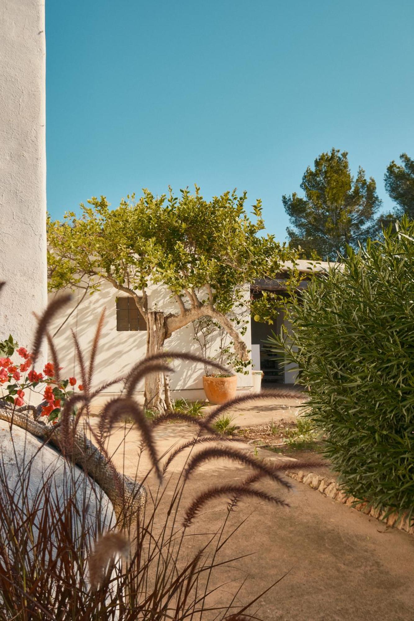 The Guardian House Hotel Santa Gertrudis  Екстериор снимка